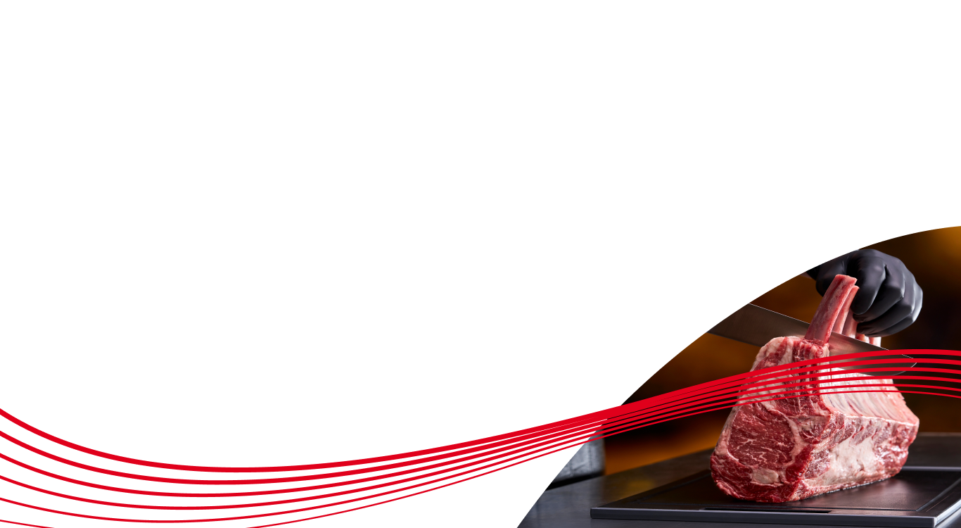 Imagem sem descrição