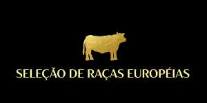 Imagem sem descrição