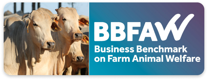 Imagem sem descrição