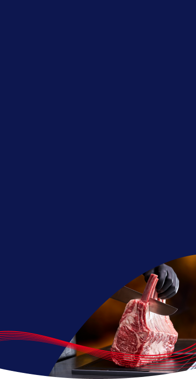 Imagem sem descrição