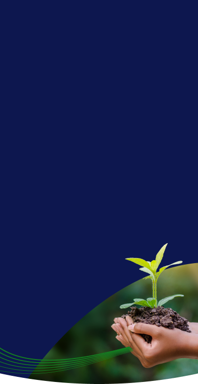 Imagem sem descrição