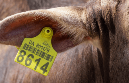 Imagem sem descrição