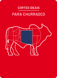 costela-friboi.png