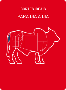 lagarto-friboi.png