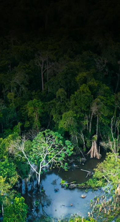 Imagem sem descrição